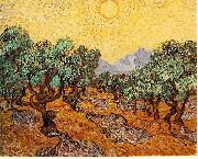Olive Trees with Yellow Sky and Sun Vincent Van Gogh